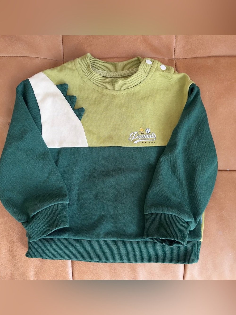 Peanuts Green Two-Tone Colorblock Crewneck Sweatshirt with White Accent